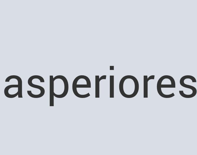 Aerodynamic Leather Princess Prawn