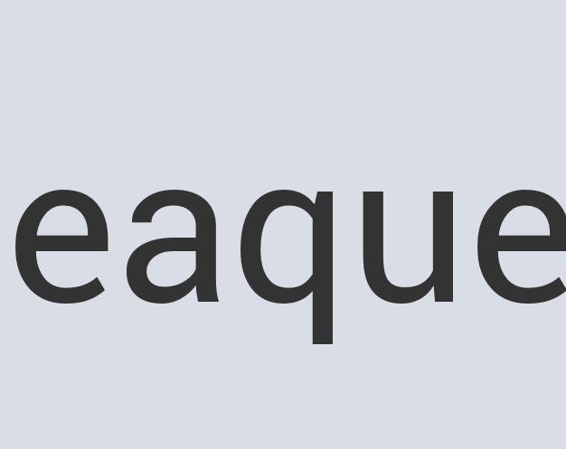 Heavy Duty Bronze Zensor