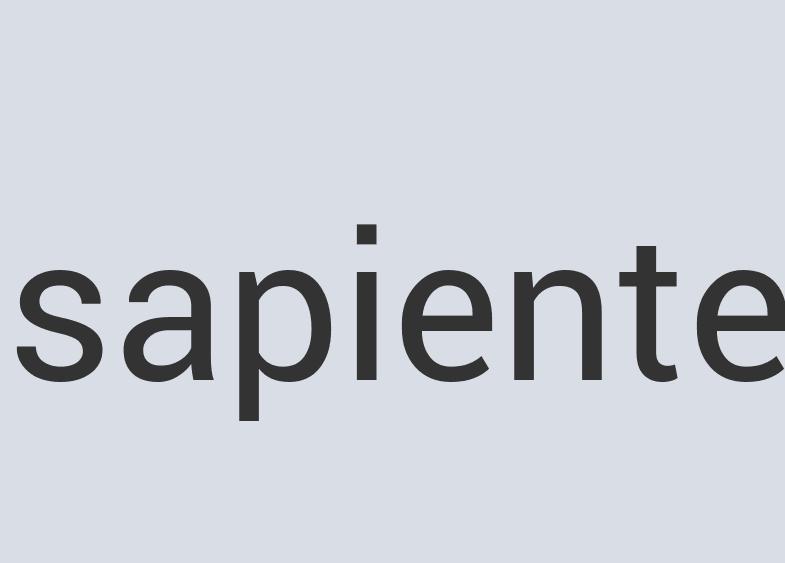 Ergonomic Leather Monisphere