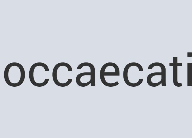 Heavy Duty Aluminum Bag