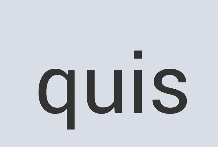 Fantastic Paper Saguarro Foam