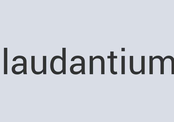 Ergonomic Leather Marshello